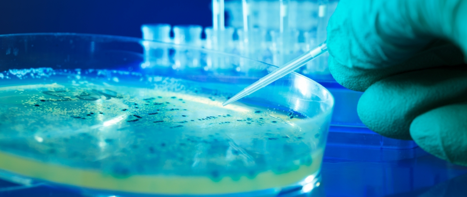 iStock-154250821 Bio