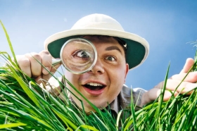 Benchmark Audit